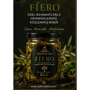fiero 