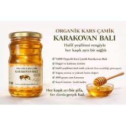 karakovan kars çamik bal cam kavanoz 400 gr