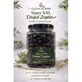 XXL Süper geml,k cinsi siyah zeytin